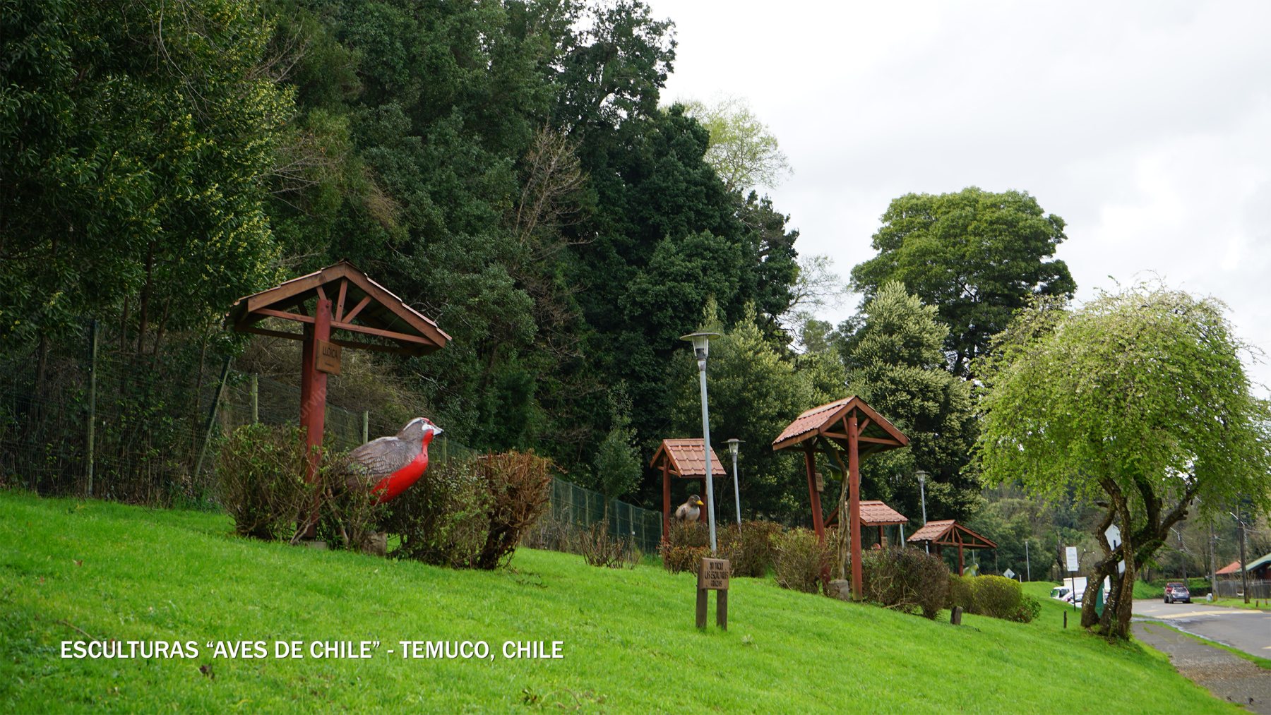 Esculturas Aves de Chile - Temuco