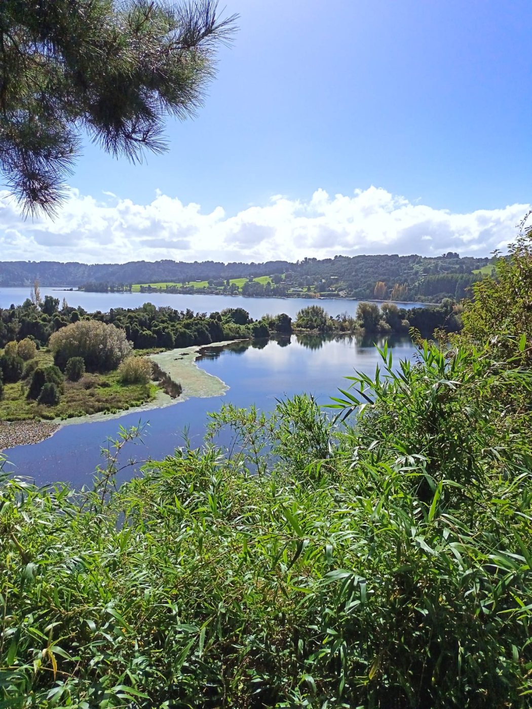 Private Frutillar and Puerto Octay Tour
